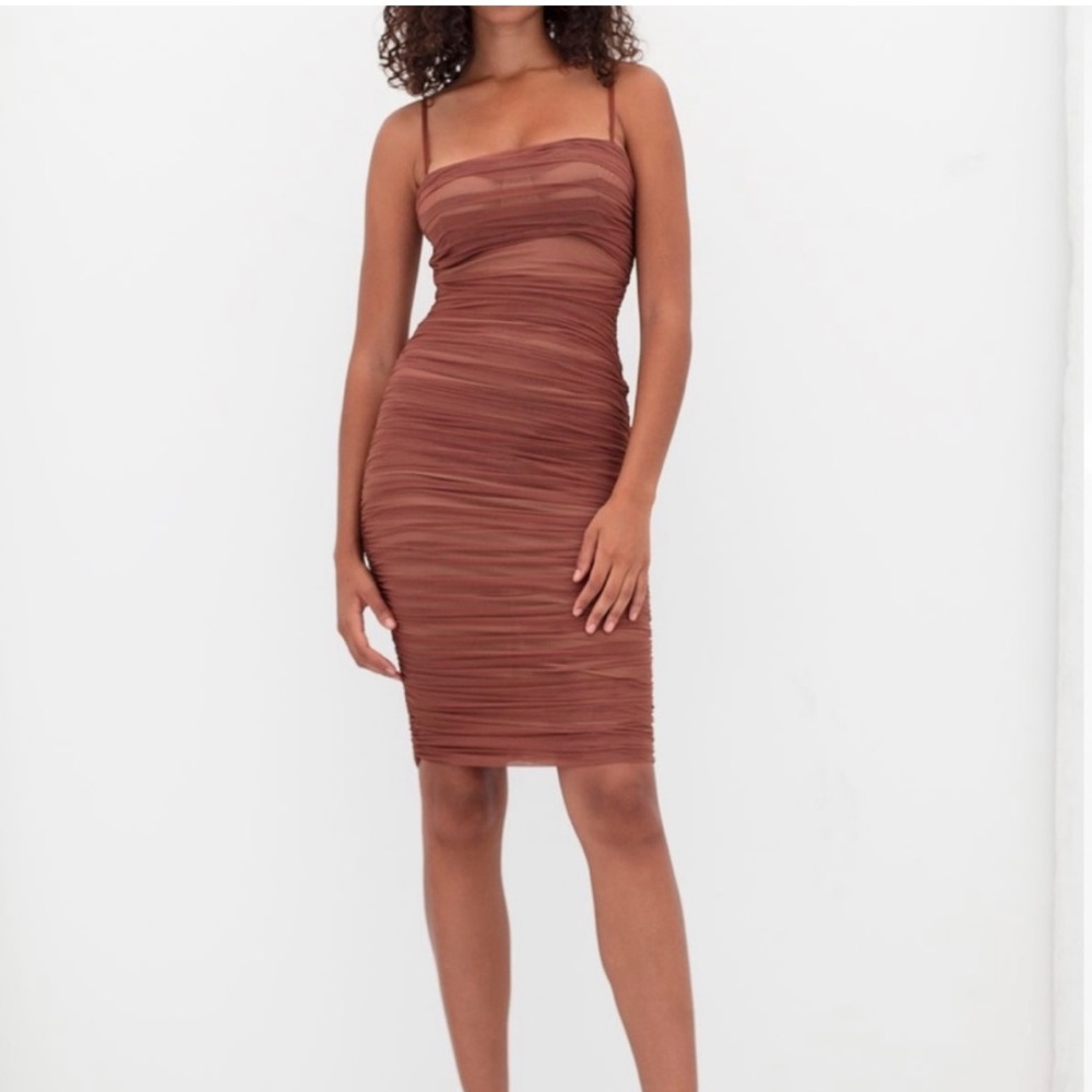 Aritzia Babaton Ruched Luxor Dress